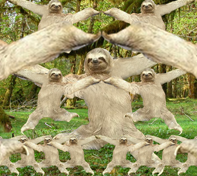 Fabulous Sloth 