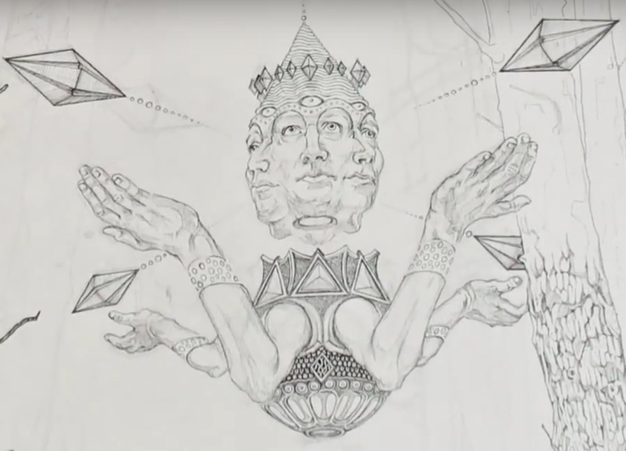 Time Lapse Illustration The Woods